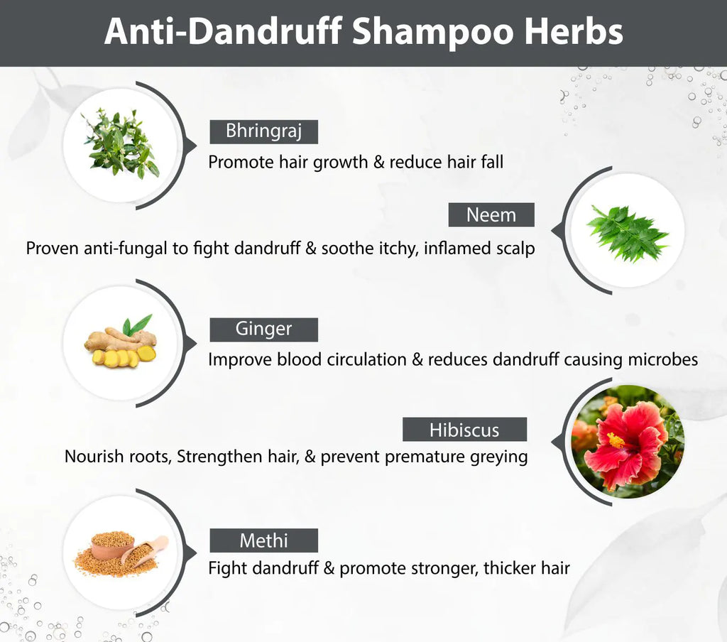 ANTI DANDRUFF COMBO