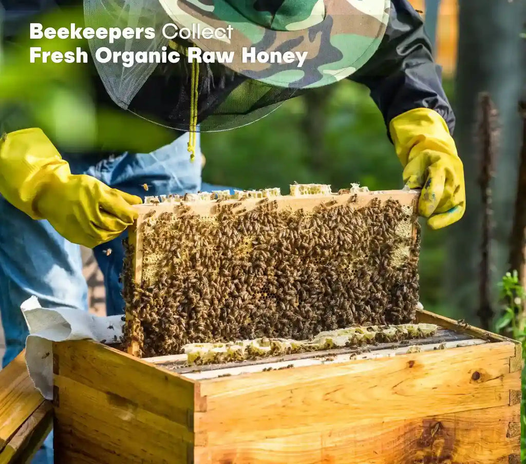 HONEY PRO – HIMALAYAN MULTIFLORAL HONEY