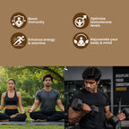 SHILAJIT BHASMA PRO